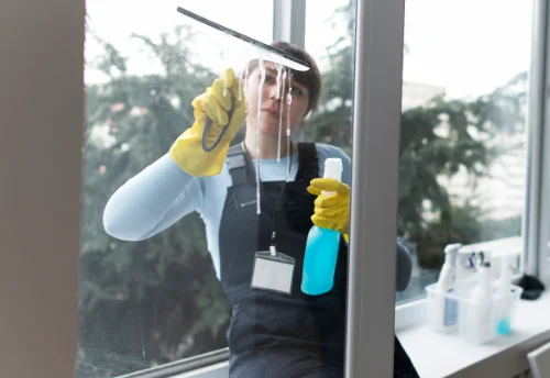 Nettoyage de vitres intérieures et extérieures à Coëx